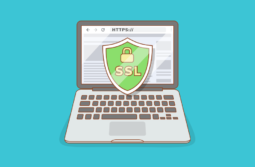 Як отримати SSL-сертифікат безкоштовно й навіщо він потрібен