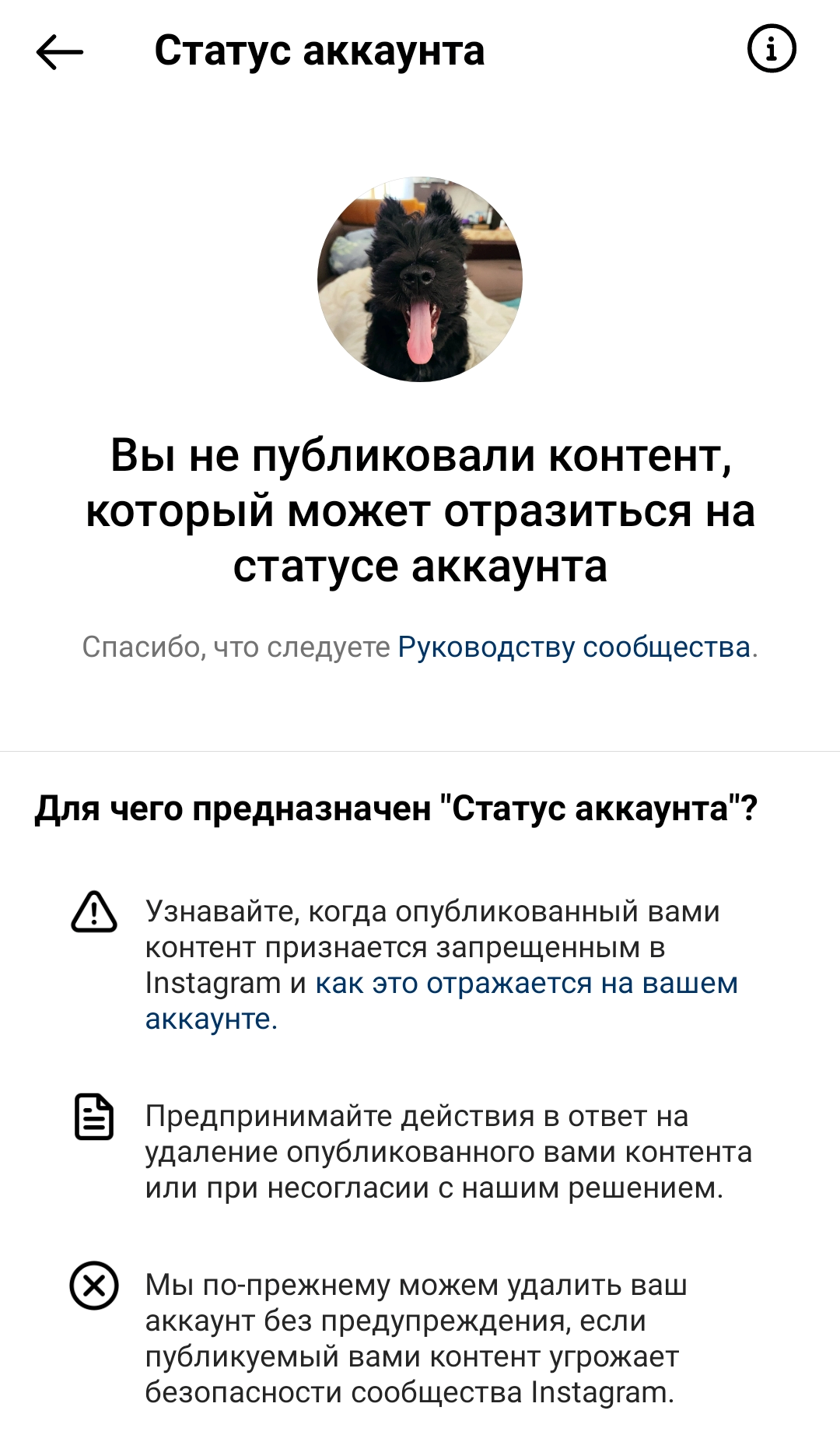 Новая функция Instagram позволяет запретить отмечать вас на фото