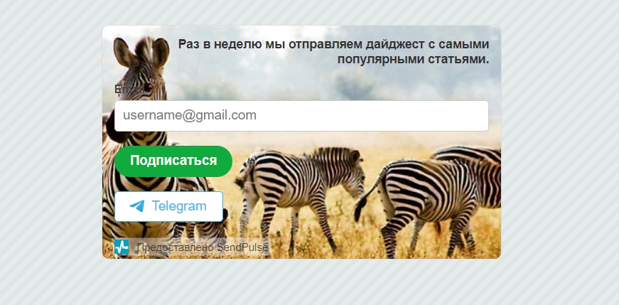 Мультиканальная форма подписки Мультиканальная форма подписки